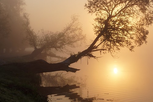 polska poland słońsk parknarodowy wartamouthnationalpark wschódsłońca sunrise ujściewarty