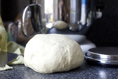 the kneaded dough