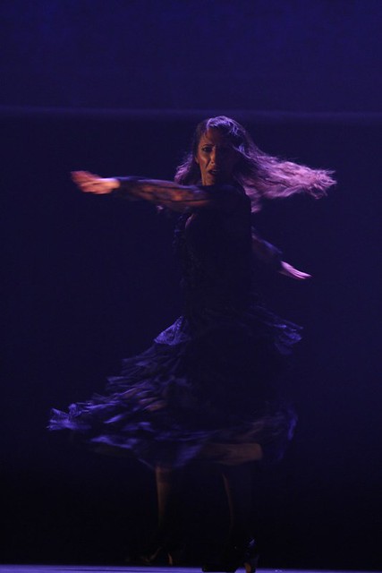 Ballet Flamenco de Andalucia à l'Espace François Mitterrand