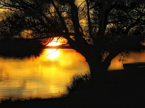 sunset reflection tree silhouette river grandriver dunnville
