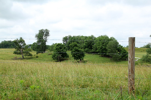 county trees ohio overgrown grass fence landscape wire scenery view grove farm scenic farmland highland pasture penn barbed fairfield pleasant township