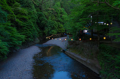 Takao in the early summer evening (Kyoto) / 初夏の高雄（京都）
