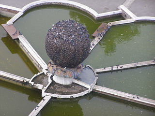 Pigeon on Fountain