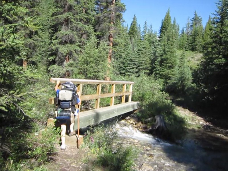 Footbridge crossing the creek running northeast from Noetic Peak on the Forty Mile Creek Trail