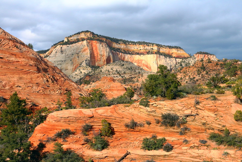 IMG_6818 Swirls of Navajo Sandstone and Mesa, Zion National Park
