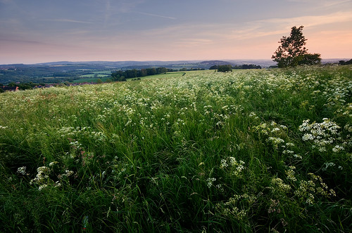 sunset summer outdoors evening yorkshire hills fields pennines barnsley beautifulscenery southyorkshire pursuits britishcountryside wentworthcastle dovevalley worsboroughcommon