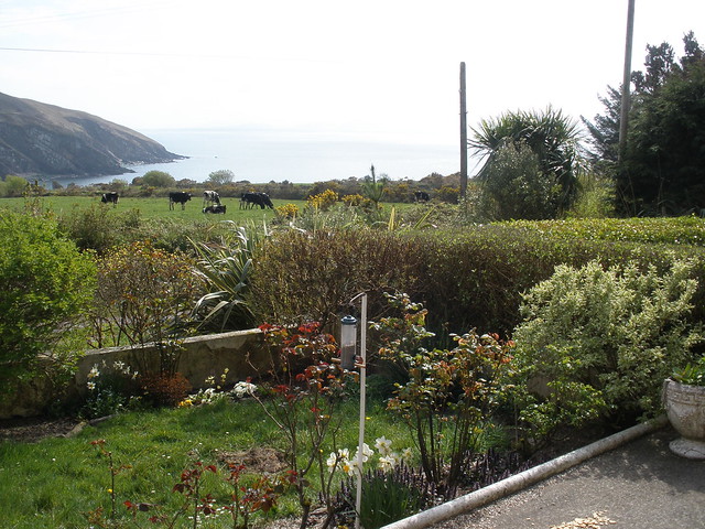 Looking across the yard over the castle towards the bay
