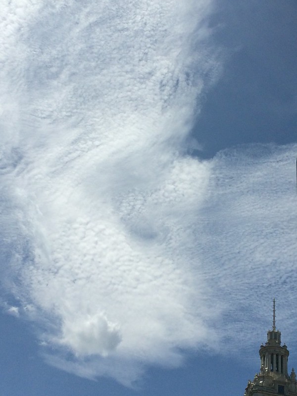 Skin-texture cloud floats above Wrigley Building in Chicago