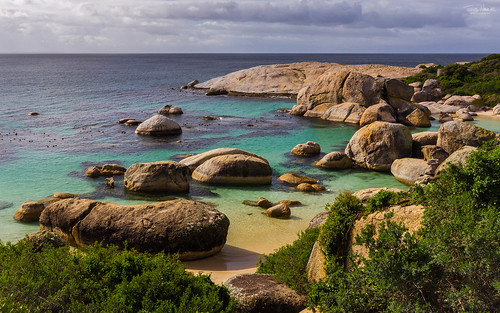 travel sea beach water landscape southafrica penguins landscapes paradise stones capetown boulders cape landschaft südafrika simonstown kapstadt bouldersbeach westkap