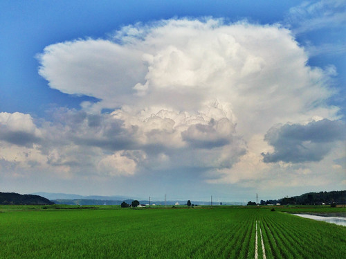 japan clouds kagoshima 鹿児島県 日本 雲 ricepaddy kyushu 九州 田んぼ isashi iphoneography 伊佐市