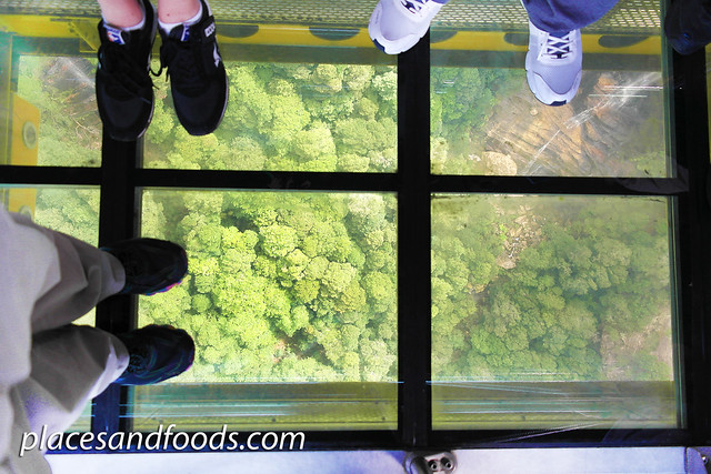 scenic world skyway glass floor