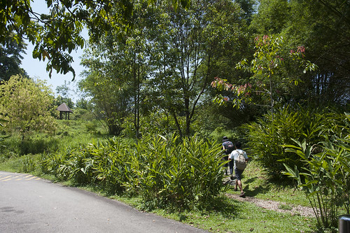 Butterfly Hill, Pulau Ubin