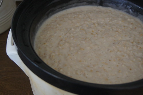 steel cut oats porridge slow cooker recipe DSC08875