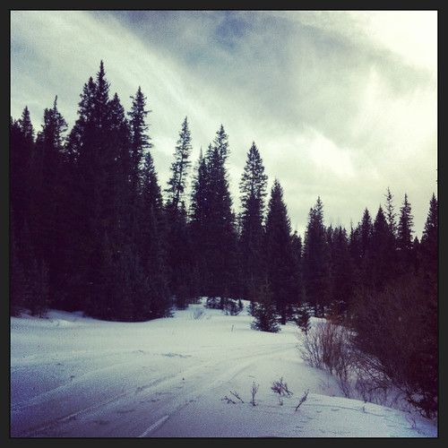 trees snow pine clouds square shadows cloudy tracks powder trail alpine iphone instagram