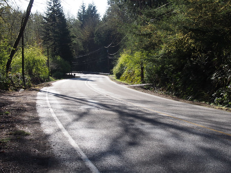 Burley–Olalla Road: I tried to avoid the steep climb across the Olalla Valley, and ended up going up for STEEPER and LONGER climbs!