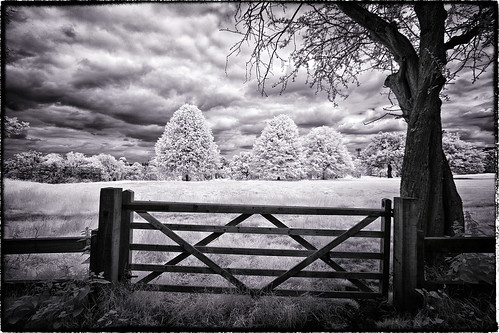 uk england blackandwhite london blackwhite canon20d may infrared 365 everyday w5 ealing digitalinfrared londonist artphotography canonefs1022mmf3545 creativephotography yearinpictures 830nm hangerhillpark unlimitedphotos advancedcameraservices may2014 2014yip