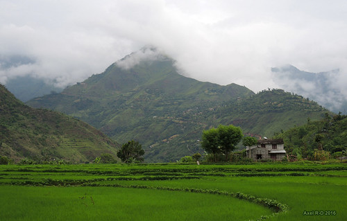 champs montagnes nepal nuages préci