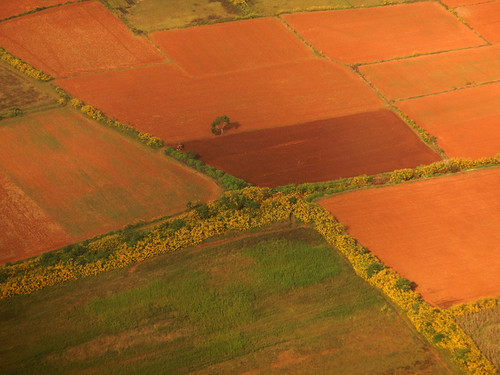 the Patchwork Fields Seen while Flying over Inle Lake