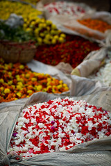 Flowers market Kolkata