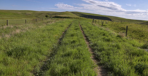 road county canada grass canon landscape photography eos photo image pics path no picture ab pic where photograph alberta prairie carbon grassland backroad allrightsreserved 6d swalwell cuthill canon6d kneehill westrockbob canoneos6d bobcuthillphotographygmailcom bobcuthill