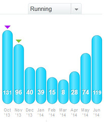 training mileage leading up to the Vermont 100