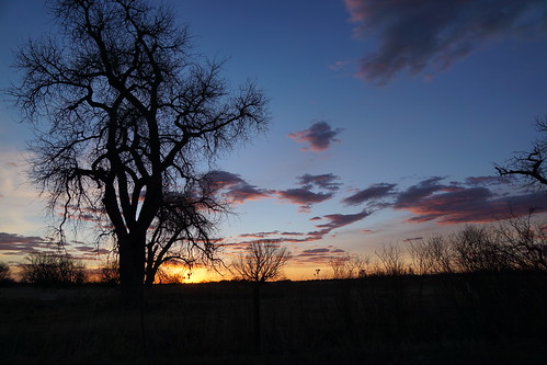 sky clouds colorado dawn tree silhouette cottonwood sunrise atardecer