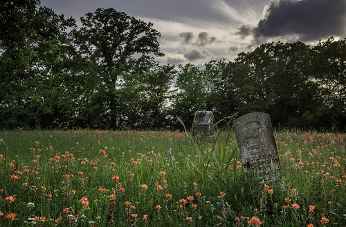 wildflowers bluebonnets indianpaintbrush texas spring cemetery abandoned country ruraltexas ruraltown
