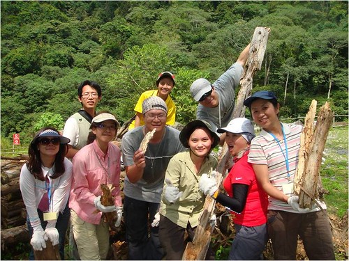 熱情有活力的志工一起來搬運木頭。八仙山自然教育中心提供