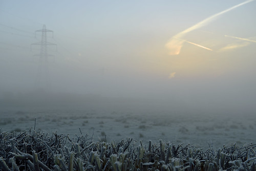 uk morning winter england nature beauty silhouette metal fog dawn countryside am nikon flickr frost power tripod foggy silhouettes structure filter hedge getty giants gps february pylons mothernature manfrotto circularpolarizer jackfrost d800 firstlight foggymorning earlylight thefog paulwilliams atouchoffrost powerlinessky fogbound throughthefog nikon2470mm awintersmorning nikongps nikkor2470mmf28 nikkor2470mm nikond800 nikongp1 despitestraightlines metalpylons metalpylonsinthefog hazardsgreen ablanketoffog jacobscpl ilobsterit
