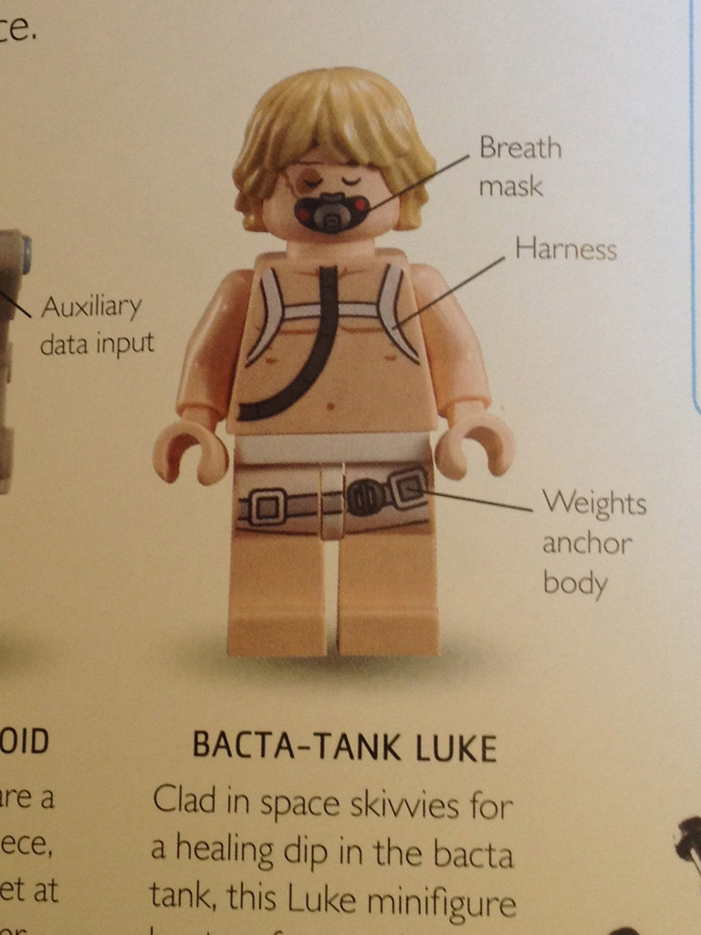 LEGO-Star-Wars-Visual-Dictionary-bacta-Luke