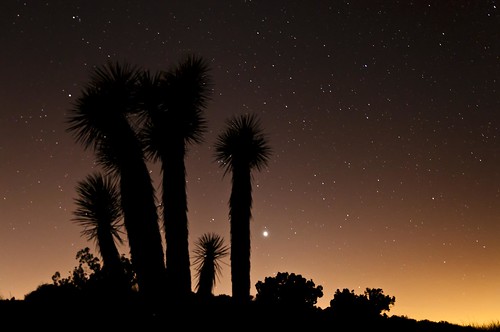california sunset silhouette stars nationalpark venus desert ngc joshuatree nightsky nationalmonument