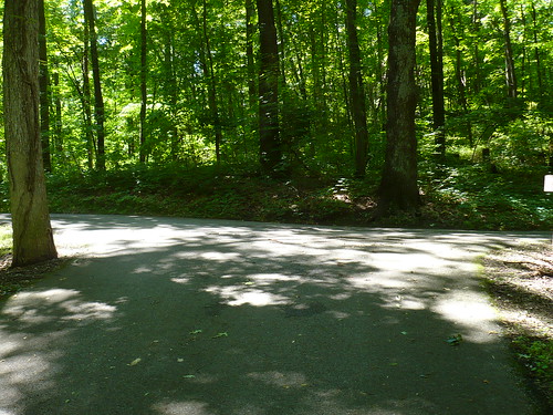 road nature digital michigan digitalphoto tipton hiddenlakegardens lenaweecounty