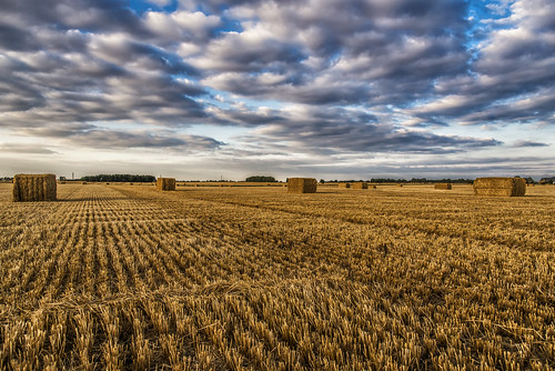 harvest field empty haystack cubes sky clouds dramatic autumn latesummer 2016 outdoor landscape uk england britain greatbritain gb cambridgeshire papworth