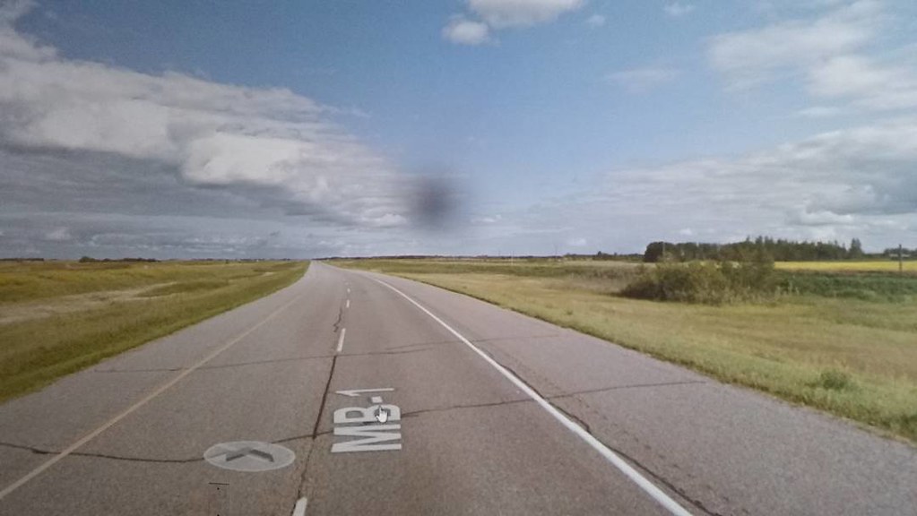 #ridingthroughwalls on the #xcanadabikeride with this dead bug. July 2014 #googlestreetview