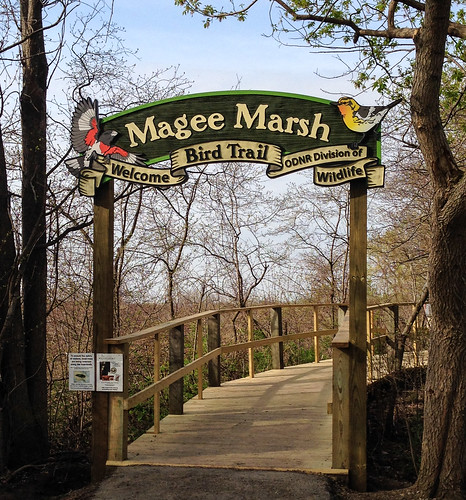 Magee Marsh Boardwalk Entrance
