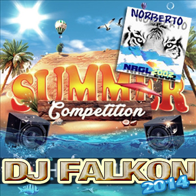 DJFALKON-SummerCompetition2014 copia