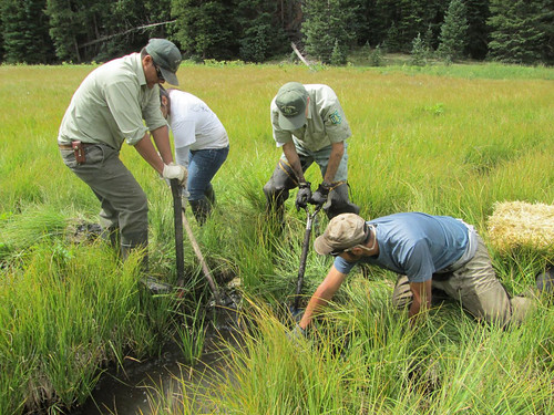 U.S. Forest Service employees prepare the channelized section of the fen for straw bale placement. These types of restoration efforts will help improve the condition of watersheds and, ultimately, the quality and quantity of water for the public. (U.S. Forest Service)