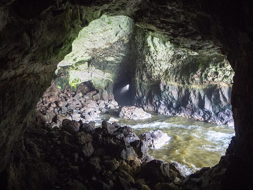 Sea Lion Caves Main Chamber