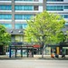 서울, 버스 정류장...       #instagram #instaplace #instastill #Korea #Seoul #Dogokdong #city #landscape #street #bus #station #cityscape #서울 #도시 #풍경 #길거리 #버스 #정류장 #도시풍경