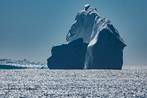 countries canada ferryland iceberg newfoundland aquaforte newfoundlandandlabrador ca