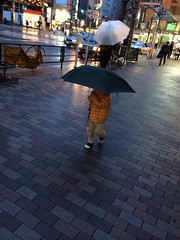 傘をさして歩きます 2014/4