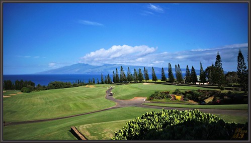 ocean trees hawaii scenic maui pacificocean golfcourse vista kapalua plantationhouserestaurant