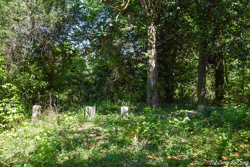 littleriver alabama unitedstates shippcemetery baldwincounty larrybell larebell larebel cemetery southernphotosoutlookcom