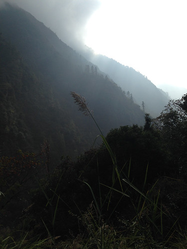nepal langtang centralregion