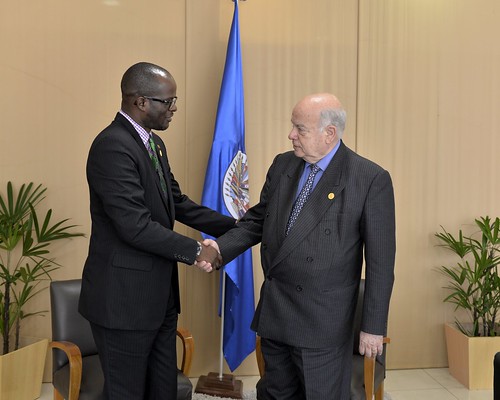 Secretario General de la OEA se reunió con el Canciller de Saint Kitts y Nevis