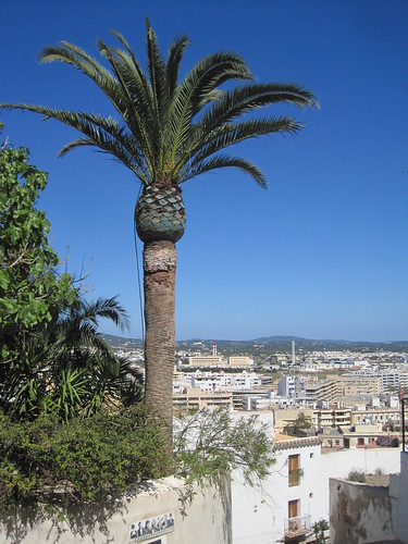 Ibiza - Copia de Imagen 191