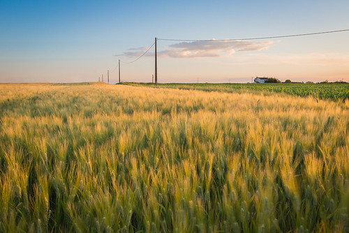 sunset france field barley farm paysdelaloire saintsigismond