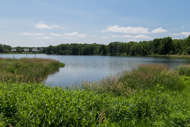 A Walk around Strickers Pond