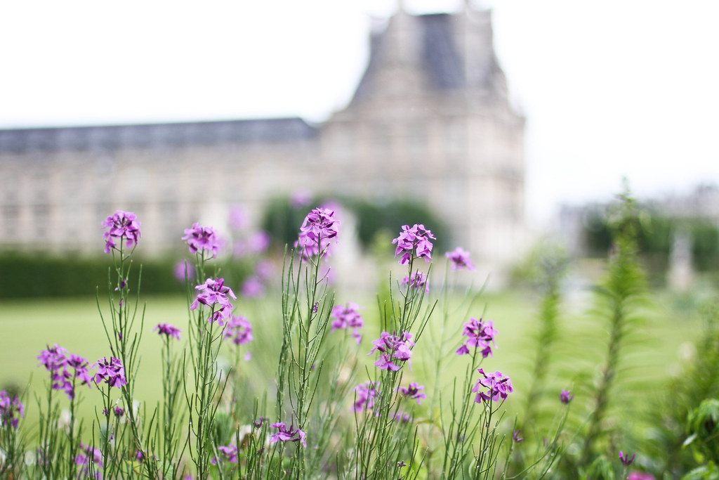Tuileries in the rain-3.jpg