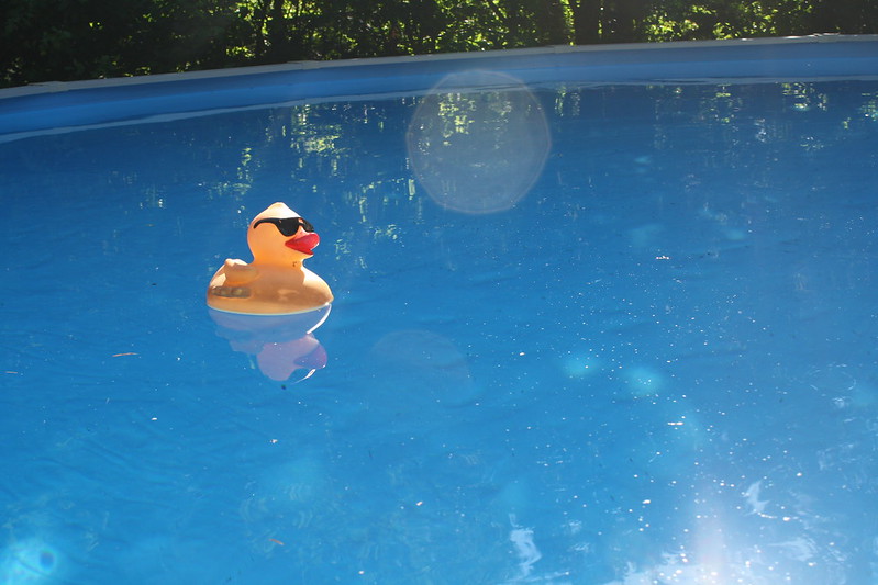 pool ducky